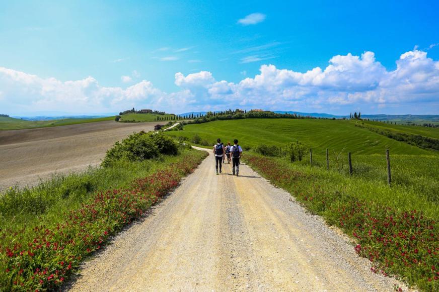 Podere Il Granaio - Crete Senesi - Tuscany Siena Zewnętrze zdjęcie