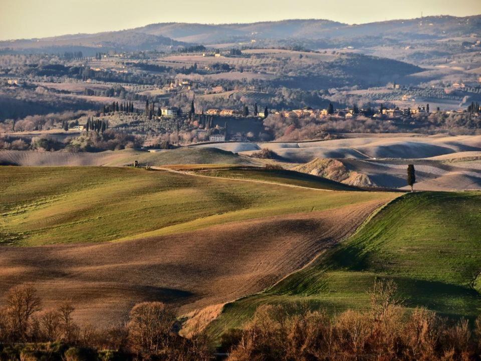 Podere Il Granaio - Crete Senesi - Tuscany Siena Zewnętrze zdjęcie