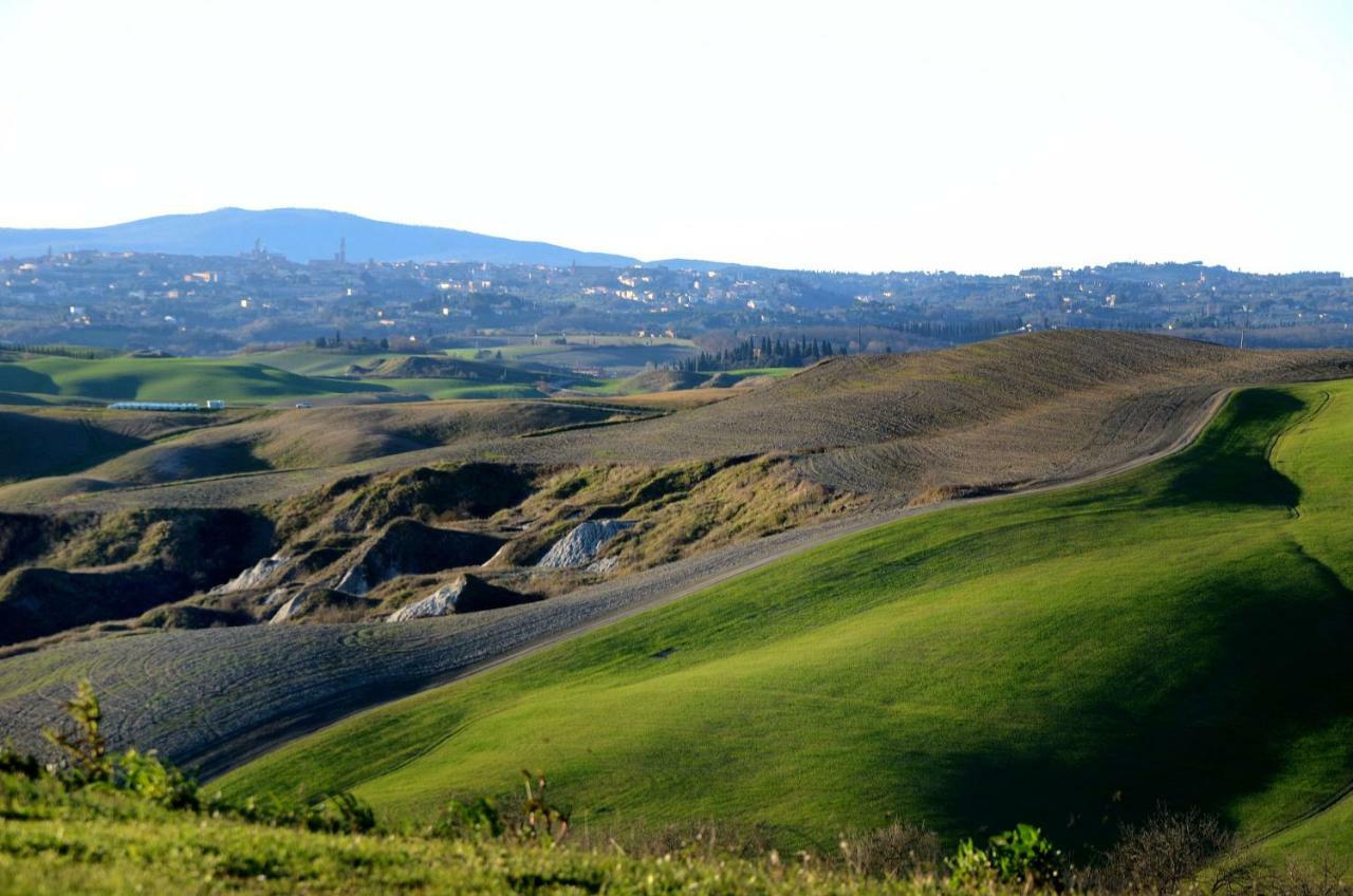 Podere Il Granaio - Crete Senesi - Tuscany Siena Zewnętrze zdjęcie