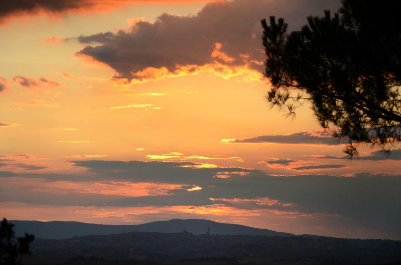 Podere Il Granaio - Crete Senesi - Tuscany Siena Zewnętrze zdjęcie