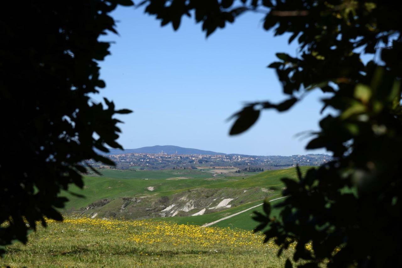 Podere Il Granaio - Crete Senesi - Tuscany Siena Zewnętrze zdjęcie